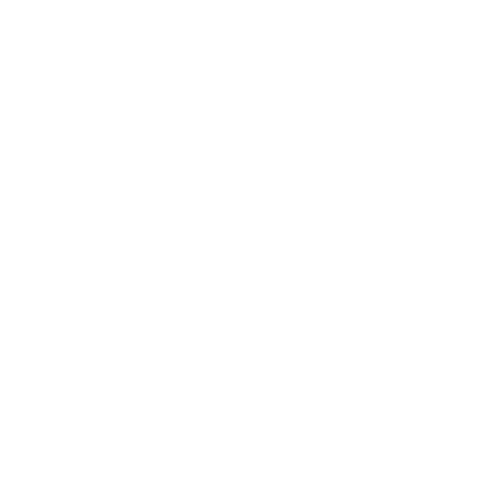 nexbridge-logo
